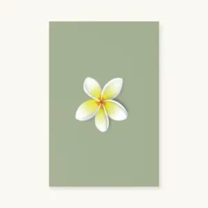 Bloem (1 - 15)
